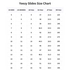 Yeezy YZY YS-01 Black